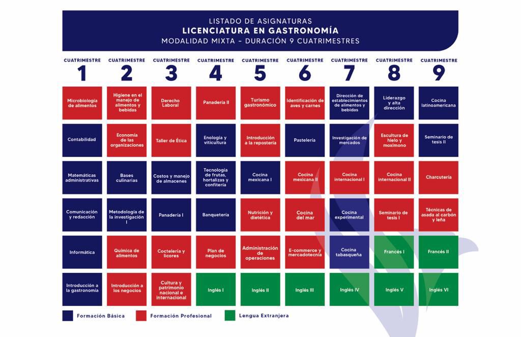 Plan de Estudios Licenciatura en Gastronomía
